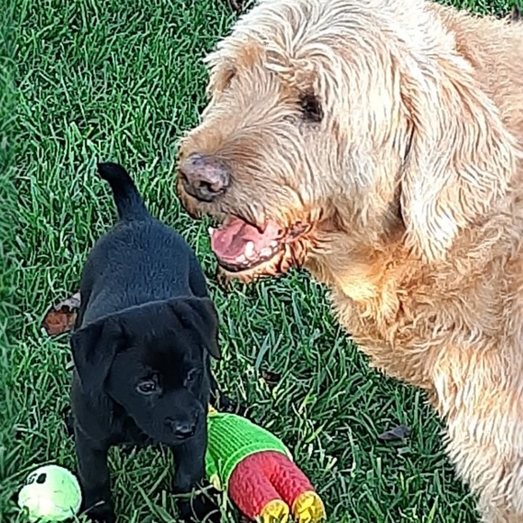 Meet your Posher, Marlena - Picture 6 of 10